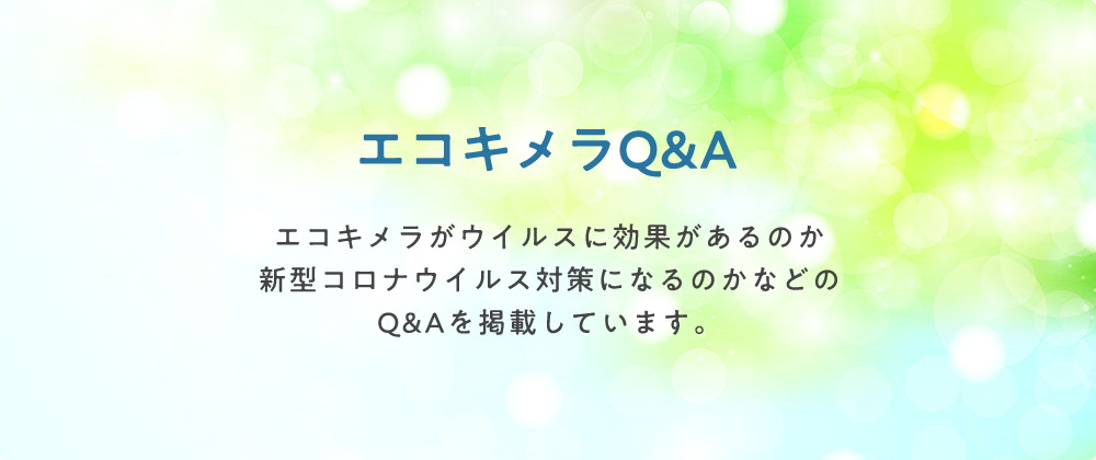エコキメラウイルス感染予防Q&A