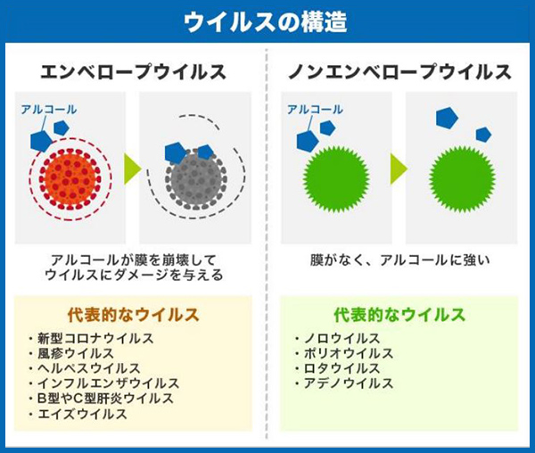 ウイルスの構造